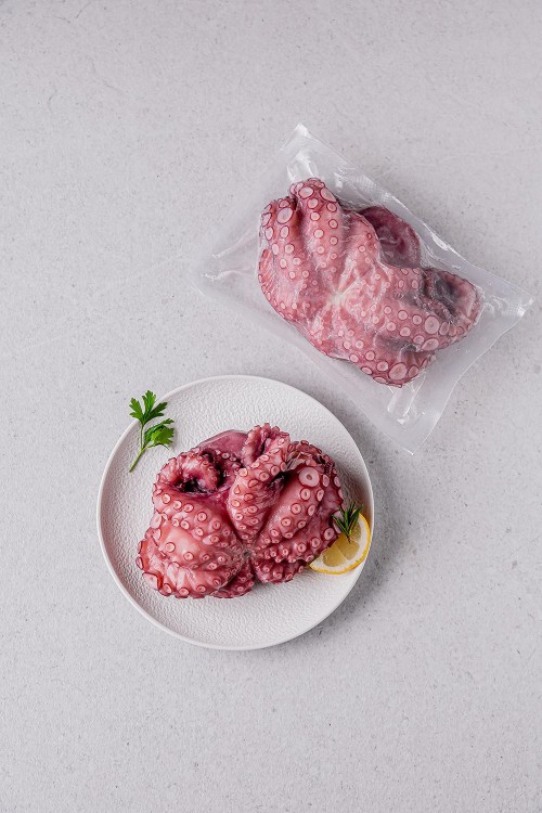 모리타니아 문어1